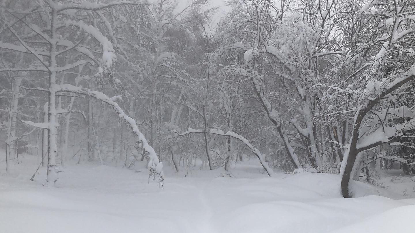 Redoor Sapporoは15時「 痺れる積雪 」身近な場所も豪雪ですRedoor Sapporo