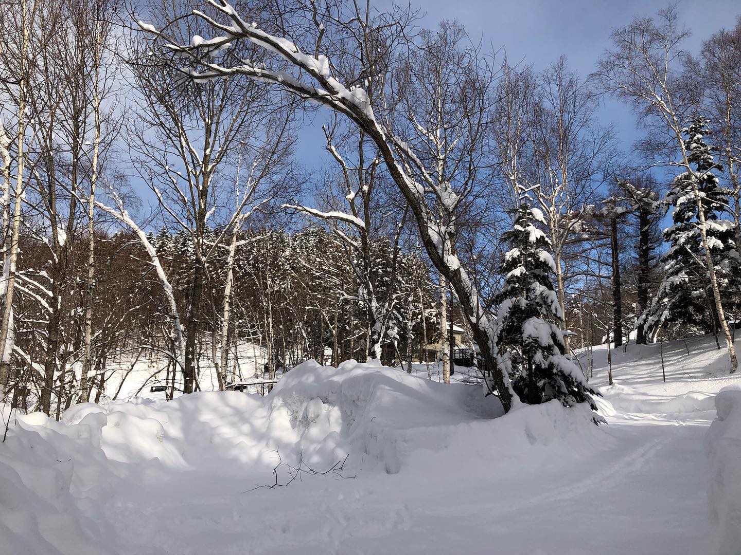 Redoor Sapporoは11時「 秘密基地的サイト 」どんどん増えていますRedoor Sapporo